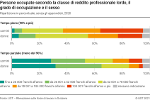 Persone occupate secondo la classe di reddito professionale lordo, il grado di occupazione e il sesso
