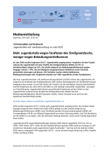 Mehr Jugendurteile wegen Straftaten des Strafgesetzbuchs, weniger wegen Betäubungsmittelkonsum