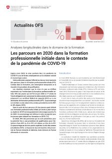 Les parcours en 2020 dans la formation professionnelle initiale dans le contexte de la pandémie de COVID-19