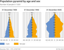 Population pyramid by age and sex