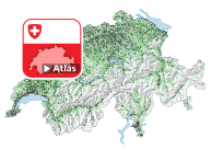 Taux brut de natalité