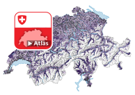 Taux brut de mortalité