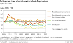 Dalla produzione al reddito settoriale dell'agricoltura - Indice