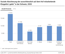 Soziale Absicherung auf dem Betrieb in der Schweiz 2020
Betriebsleiter-in - Ehegattin/gatte - Lebenspartnerin/partner
