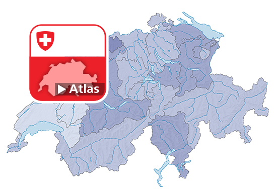 Hospitalisierungsrate in der Akutpflege, 2020