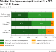 Situation dans la profession quatre ans après la FPS par type de diplôme, examen en 2016