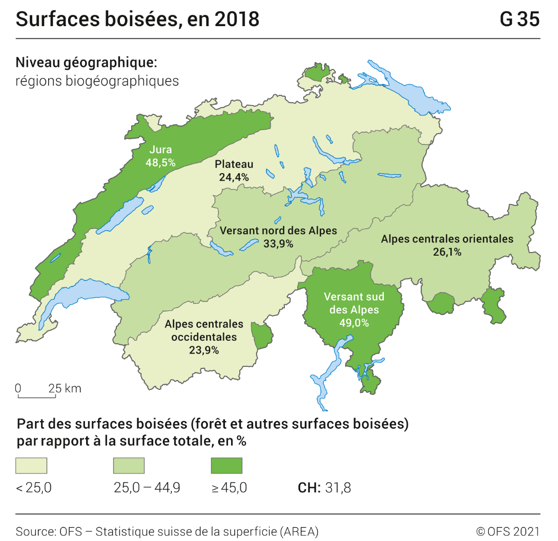 Surfaces boisées