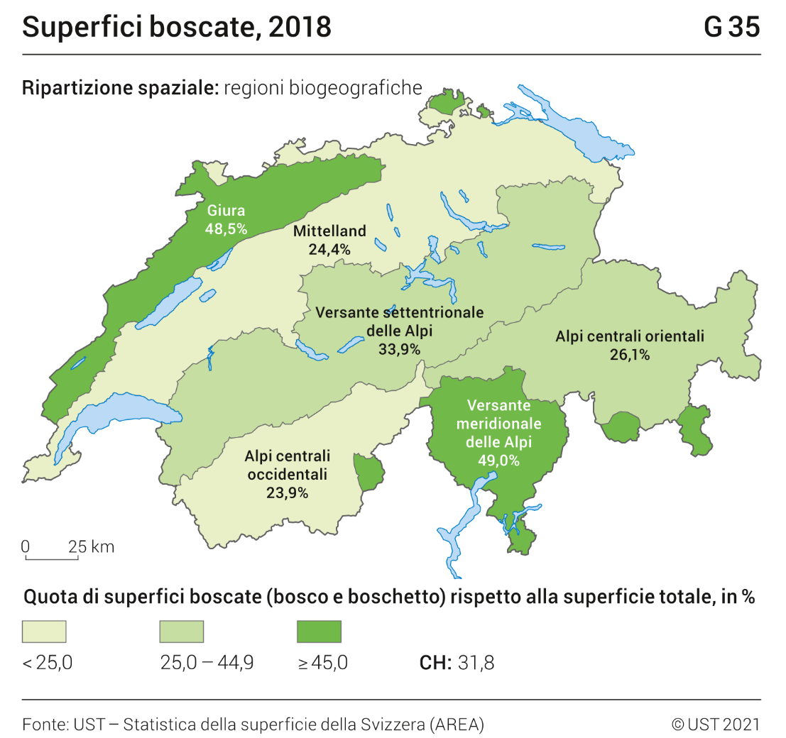 Superfici boscate