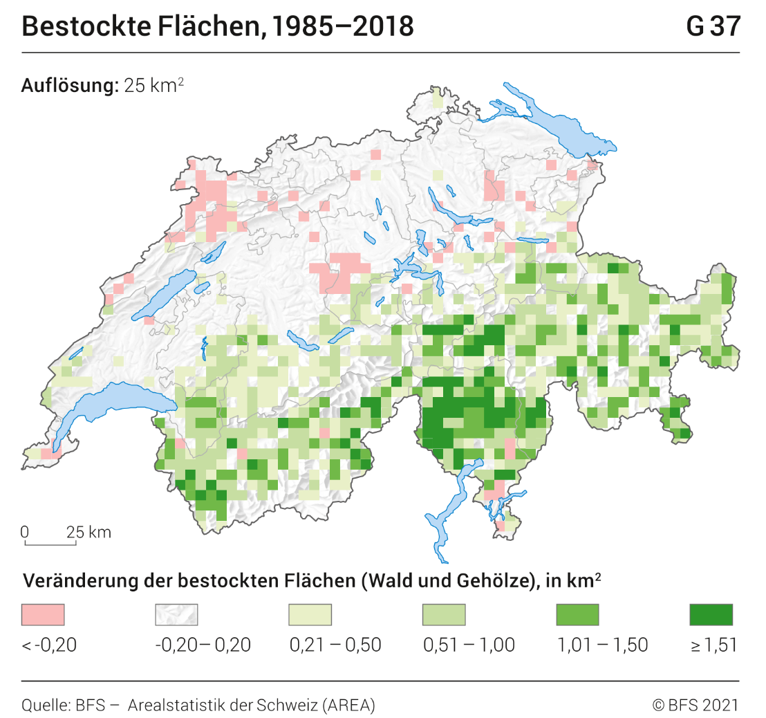 Bestockte Flächen
