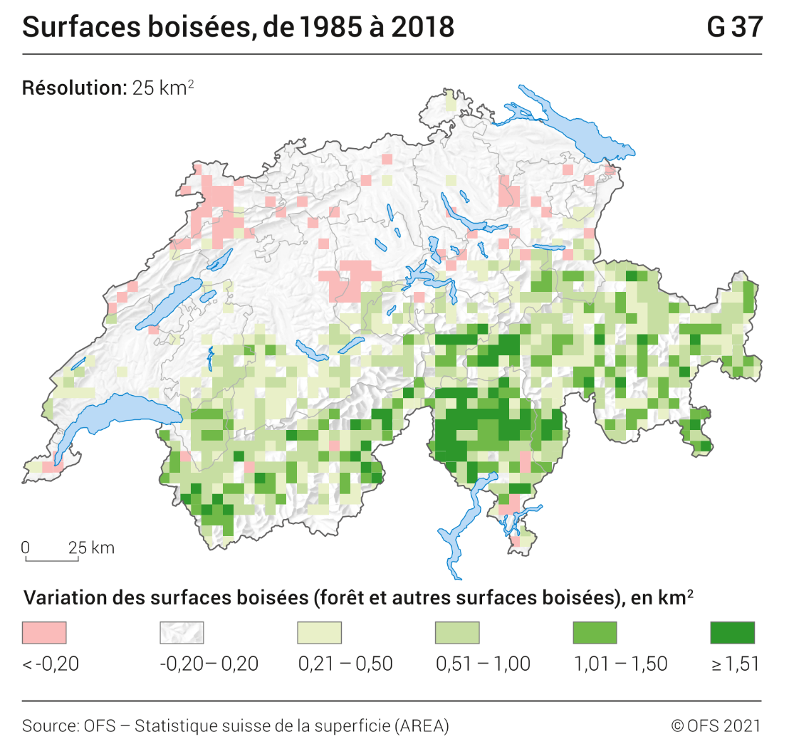 Surfaces boisées