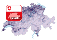 Anteil der Verkehrsflächen* an der Gesamtfläche