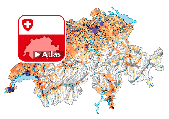 Wirtschaftliche Sozialhilfe, 2020