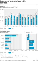Nuove immatricolazioni di automobili per mese e per tipo di carburante