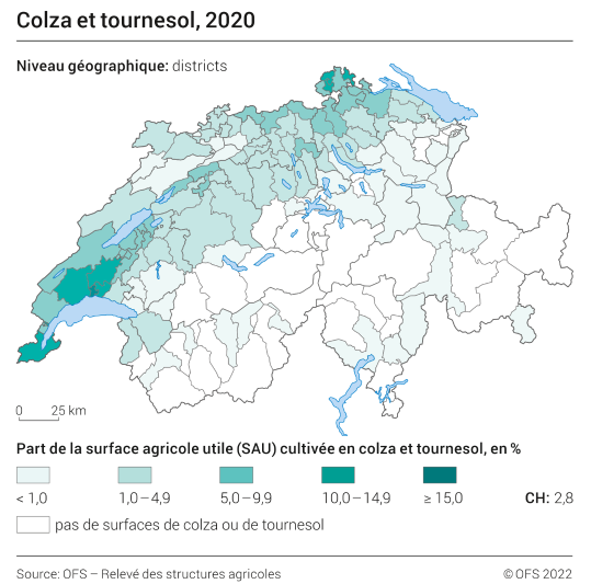 Colza et tournesol