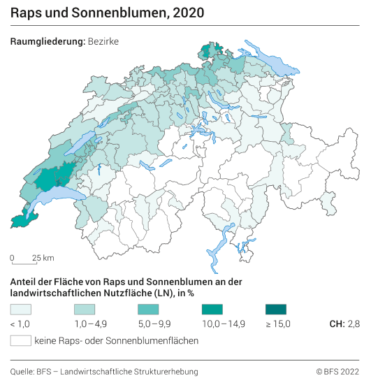 Raps und Sonnenblumen