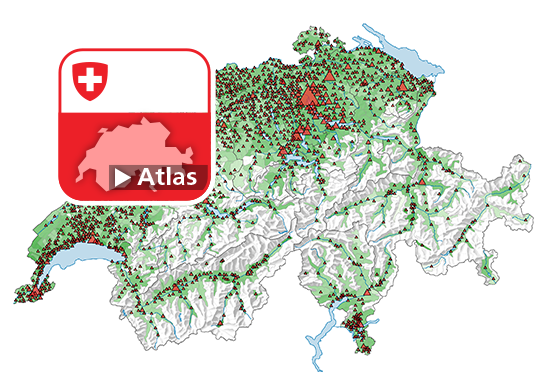 Elektrofahrzeuge 2021