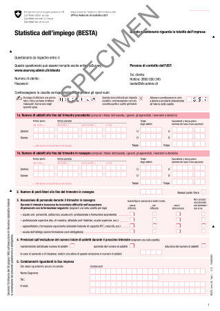 Statistica dell'impiego STATIMP: Questionario
