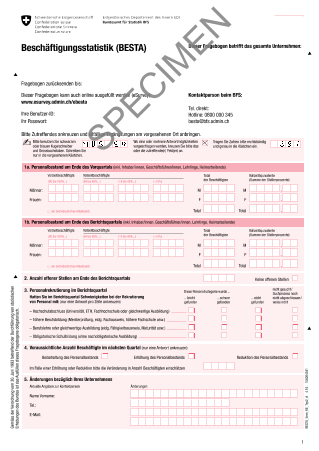 Beschäftigungsstatistik BESTA: Fragebogen
