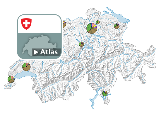 Utilisation du sol dans les agglomérations selon six catégories, en 2013/18