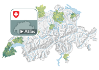 Rapport de dépendance des jeunes