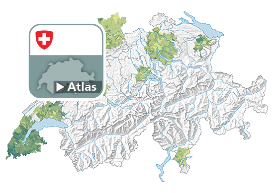 Rapport de dépendance des jeunes, en 2019
