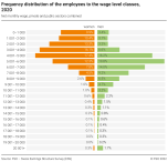 Frequency distribution of the employees by wage level classes, 2020