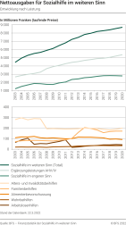 Nettoausgaben für Sozialhilfe im weiteren Sinn, Entwicklung nach Leistung