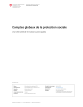 Comptes globaux de la protection sociale: Vue d'ensemble et notions principales