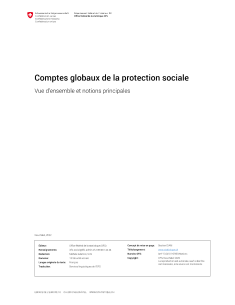 Comptes globaux de la protection sociale: Vue d'ensemble et notions principales
