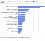Students in professional education by most popular training sectors