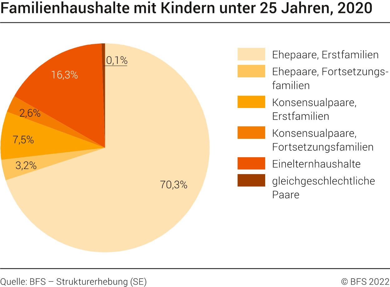 Familienhaushalte mit Kindern unter 25 Jahren