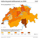Indice de grand vieillissement