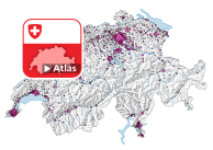 Population des entreprises actives