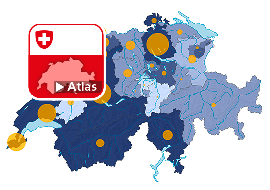 Jährliche Nettoausgaben für Sozialhilfe im engeren Sinn, 2020