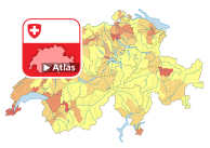 Code pénal (CP): fréquence d'infractions