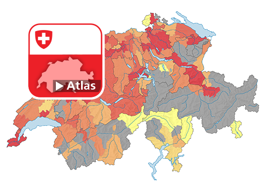 Strafgesetzbuch (StGB): Häufigkeitszahl Betrügerischer Missbrauch einer Datenverarbeitungsanlage (Art. 147), 2021