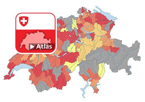 Strafgesetzbuch (StGB): Häufigkeitszahl Fahrzeugdiebstahl ohne Fahrraddiebstahl (Art. 139), 2021