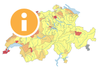 Straftaten gegen das Vermögen