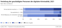 Verteilung der geschädigten Personen nach Alter und Bereich der digitalen Kriminalität