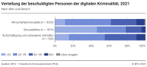 Verteilung der beschuldigten Personen nach Alter und Bereich der digitalen Kriminalität