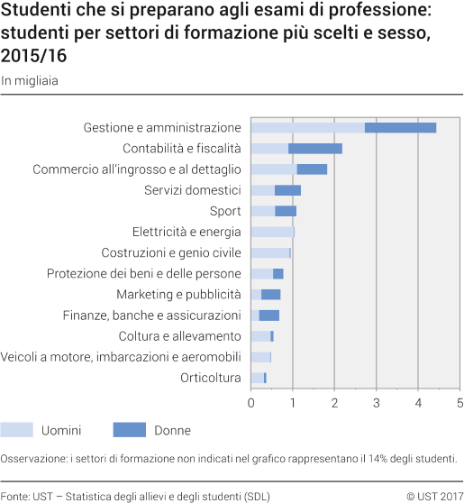 Studenti che si preparano agli esami di professione: studenti per settori di formazione più scelti e sesso