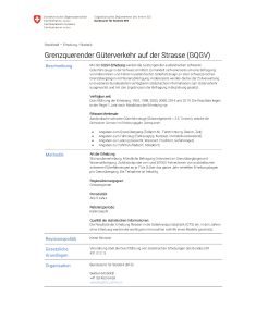 Grenzquerender Güterverkehr auf der Strasse