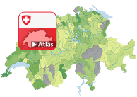 Ausländergesetz (AuG): Häufigkeitszahl der Straftaten