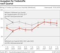 Ausgaben für Treibstoffe nach Quartal