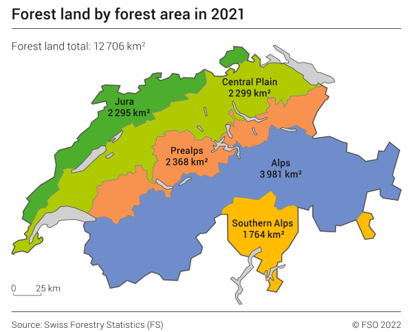 Forest land by forest area
