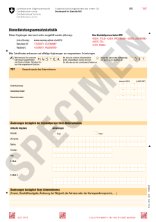 Musterfragebogen DLU Erhebung
