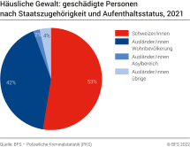 Häusliche Gewalt: geschädigte Personen nach Staatszugehörigkeit und Aufenthaltsstatus