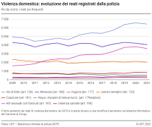 Violenza domestica: evoluzione dei reati registrati dalla polizia - Più da vicino: i reati più frequenti