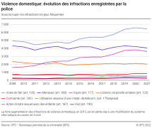 Violence domestique: évolution des infractions enregistrées par la police - Sous la loupe: les infractions les plus fréquentes