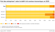 Part des entreprises selon la taille et le secteur économique